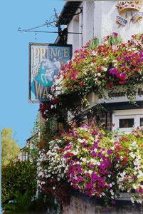 The Prince of Wales Pub Weybridge Surrey - sign surrounded by beautiful hanging baskets